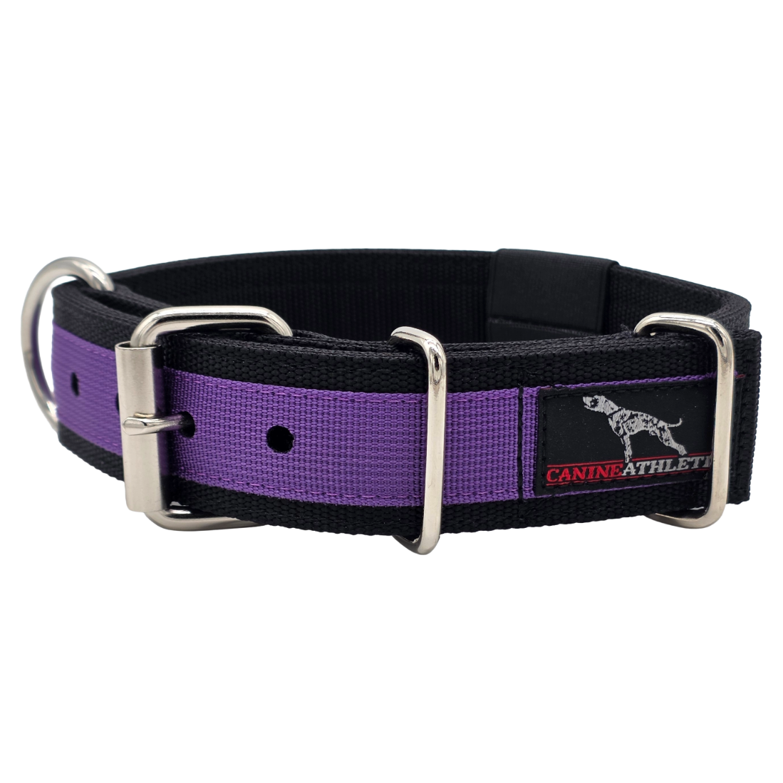 canine athletes pro-hd black purple working dog collar heavy duty
