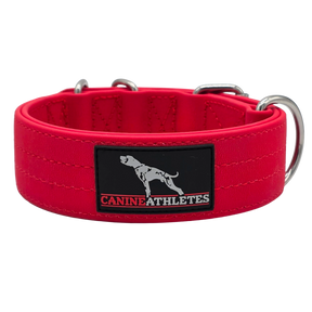 canine-athletes-ap-sport-waterproof-working-dog-collar-competition-red