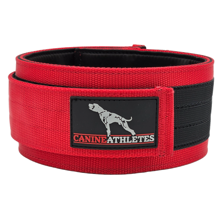 canine-athletes-elite-hd-weighted-training-exercise-wide-collar-competition-red