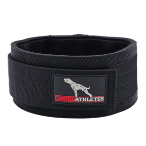 canine-athletes-elite-hd-weighted-dog-training-exercise-working-collar-black