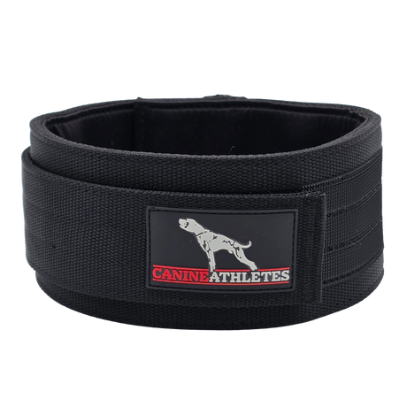 canine-athletes-elite-hd-weighted-dog-training-exercise-working-collar-black