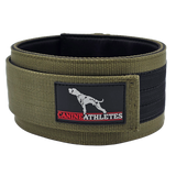 canine athletes heavy duty weighted dog training collar military green