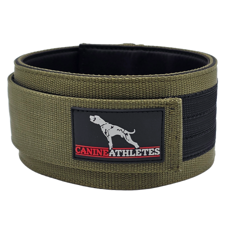 canine athletes heavy duty weighted dog training collar military green