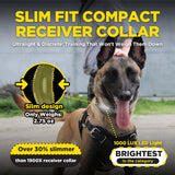 Dog wearing a slim fit compact receiver collar with text highlighting features.
