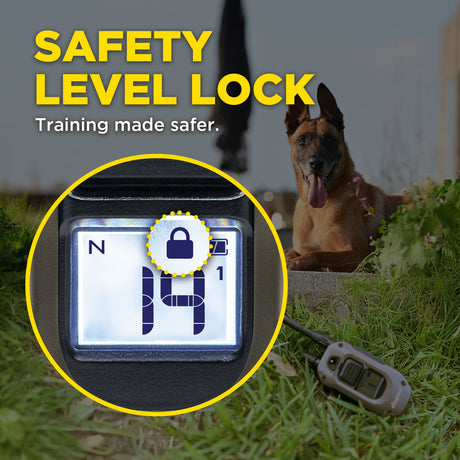 Dog training device with safety level lock feature, dog in the background