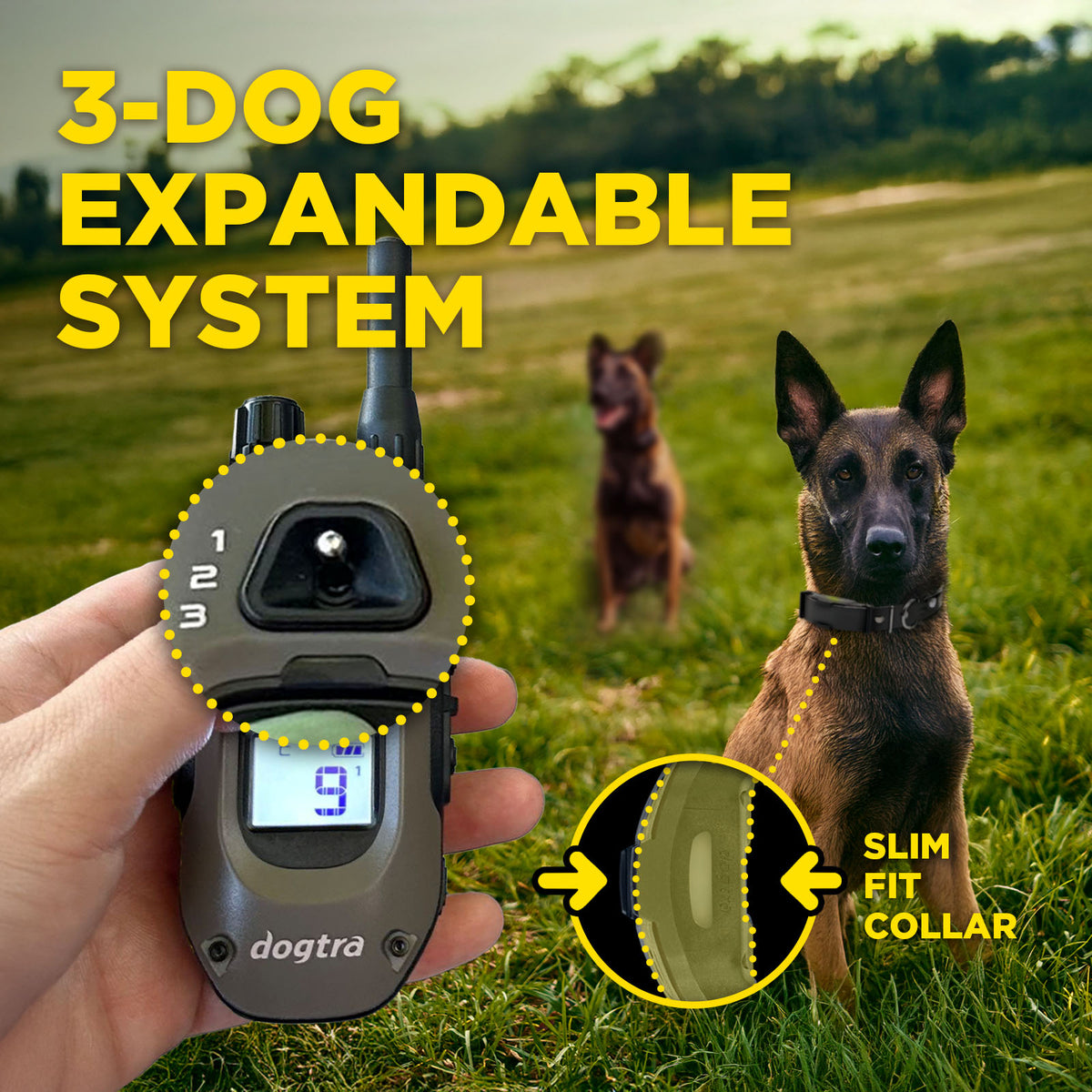 Dog training device with expandable system and slim fit collar, held by a person outdoors with dogs in the background.
