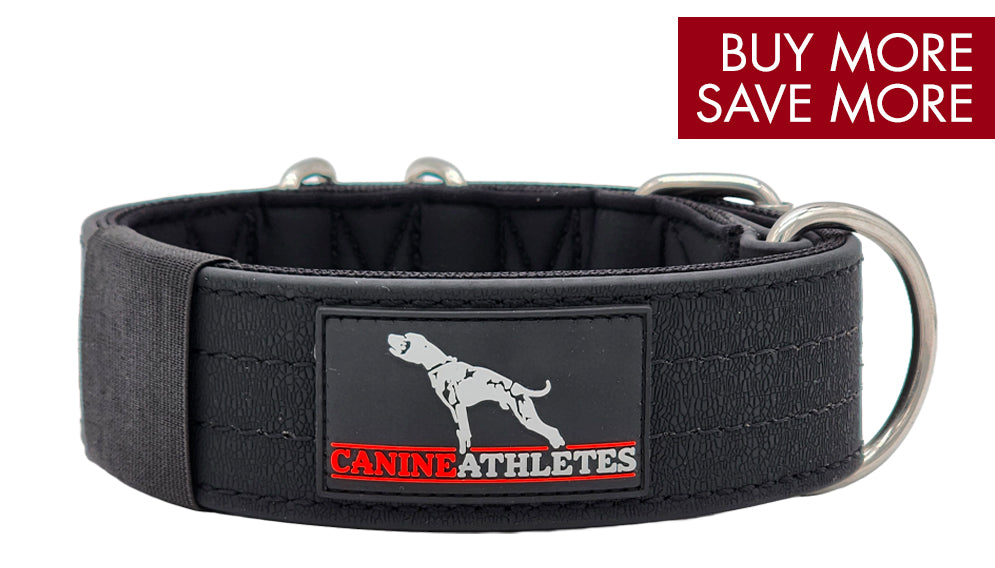 canine-athletes-ap-sport-padded-waterproof-dog-collar-buy-more-save-more