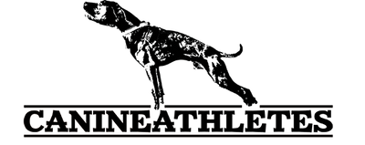 Canine Athletes