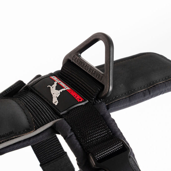 Canine Athletes Sport-HD V4 Working Dog Harness