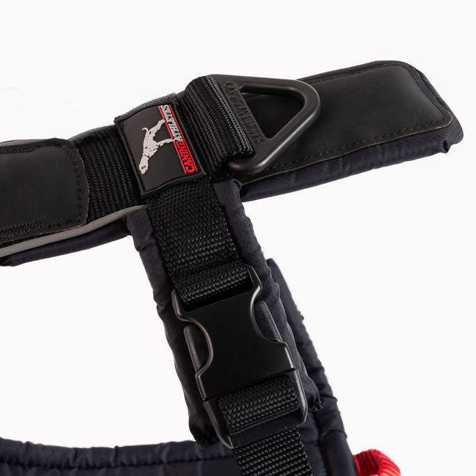 Canine Athletes Sport-HD V4 Working Dog Harness
