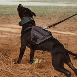 canine-athletes-power-max-hd-weighted-dog-harness-training-vest