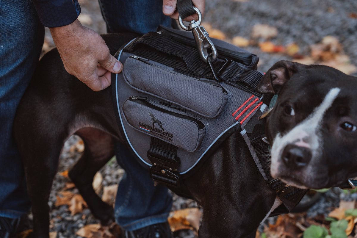 canine-athletes-power-max-weighted-dog-training-exercise-harness