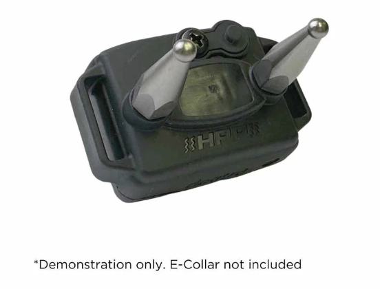 Dogtra Titanium Contact Points Set - Female