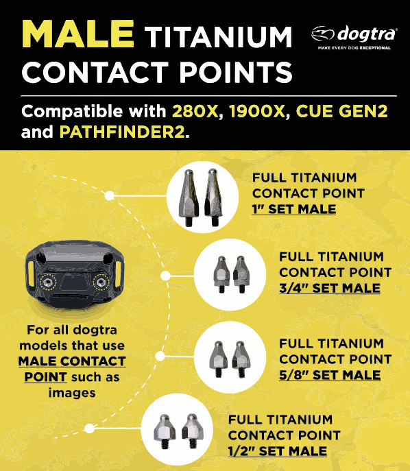 Dog Point Set Dogtra Titanium Contact Points Set - Male - Canine Athletes