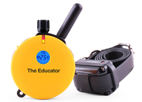 E-Collar Technologies Et-400 Educator Training 