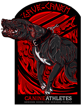Canine Athletes Cave Canem Beware of Dog Sticker Decal