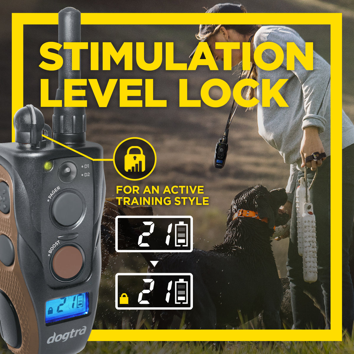 Dogtra Arc Handsfree Plus B&amp;L Remote Dog Trainer e-collar