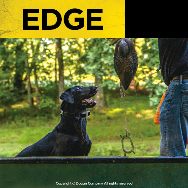 Dogtra Edge Remote Dog Training E-Collar