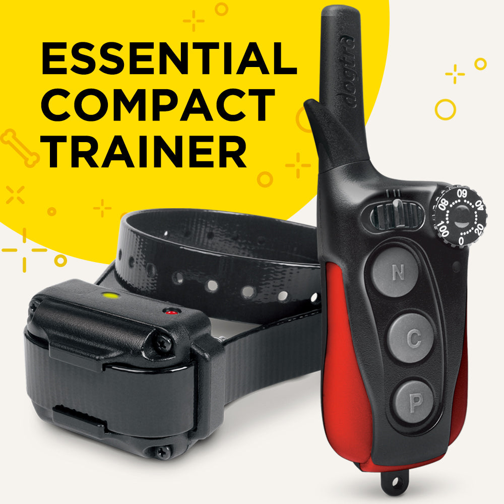 Dogtra IQ Plus Remote Dog Training Collar – Canine Athletes