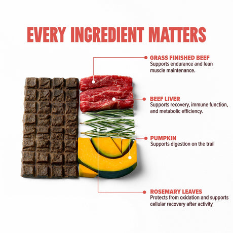 Ryoken Beef Protein Bar Features ingredients liver