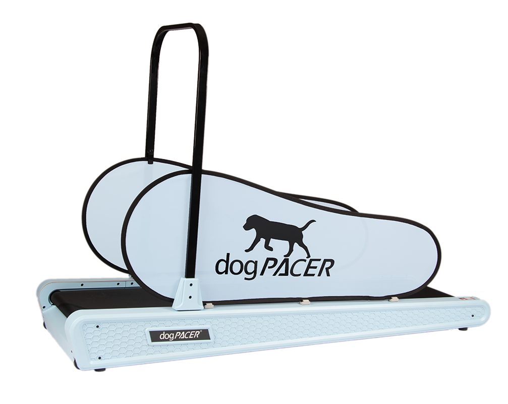 dog-pacer-se-electric-dog-exercise-treadmill-blue
