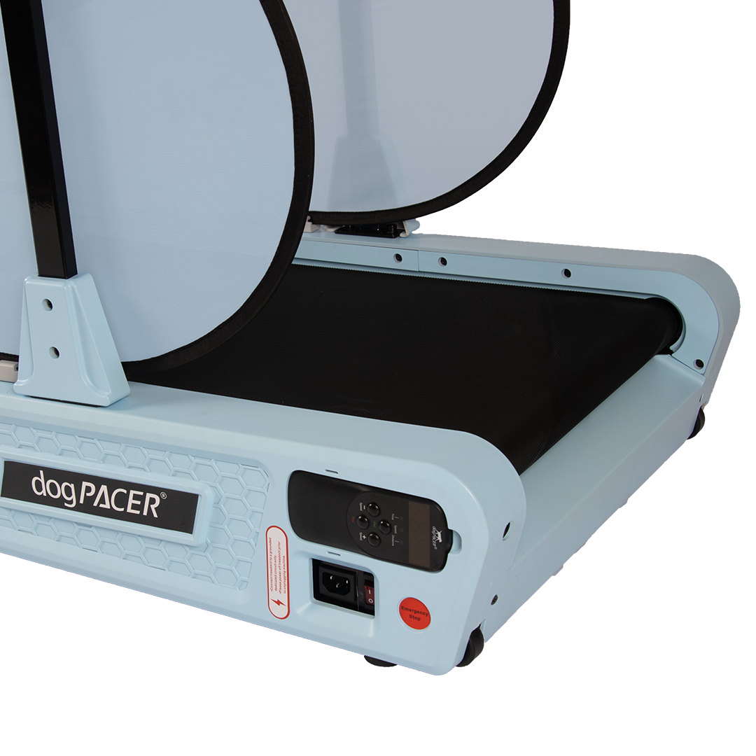dog-pacer-se-electric-dog-exercise-treadmill-blue-2