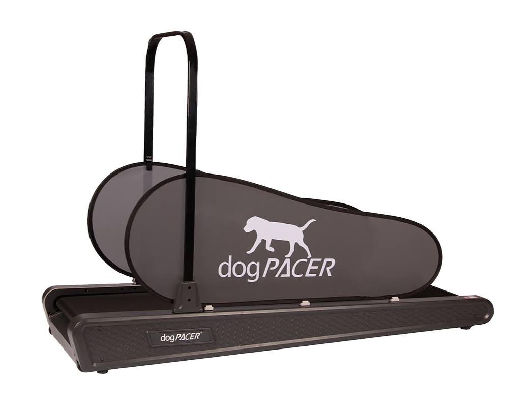 dog-pacer-se-electric-dog-exercise-treadmill-grey