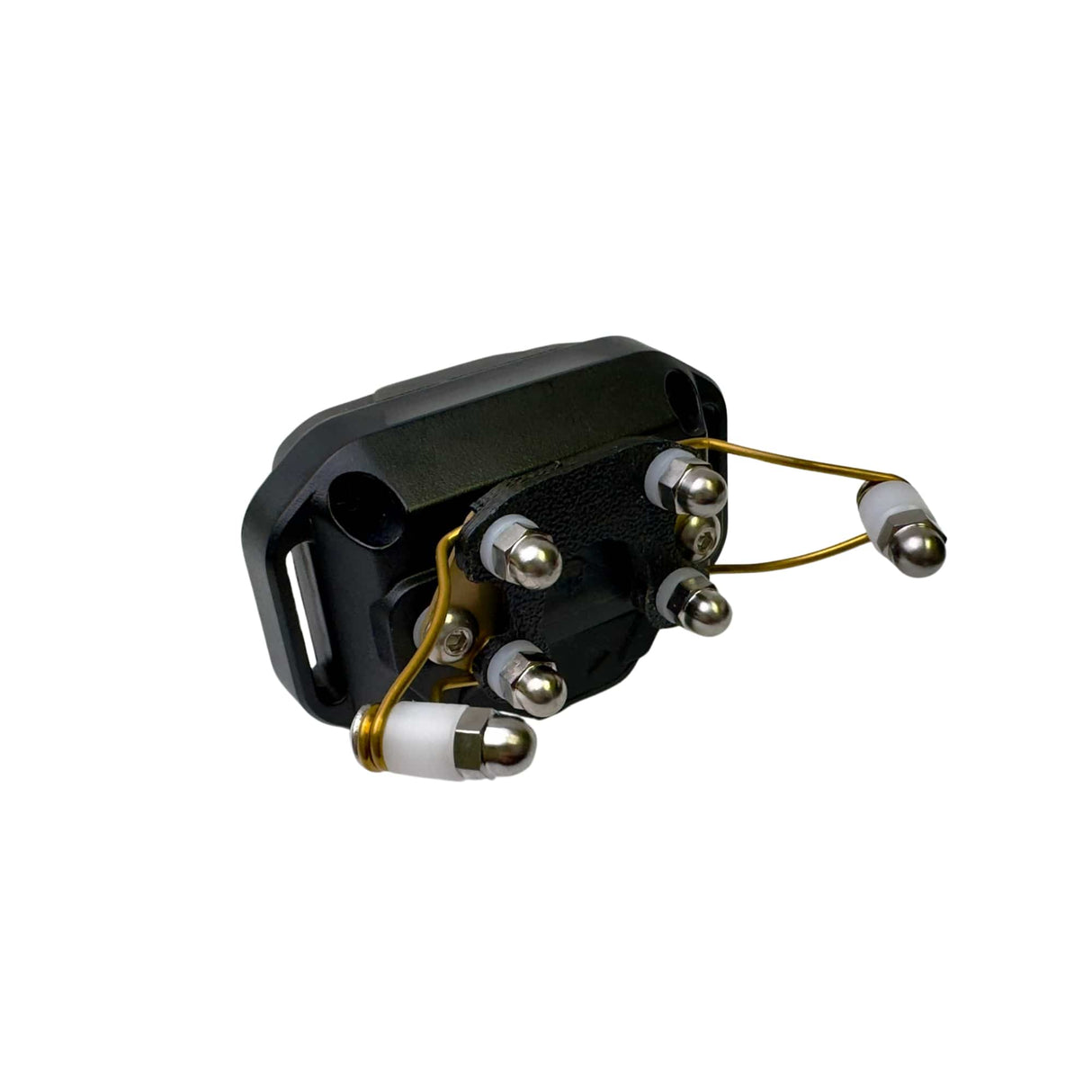 t-wing-points-electronic-collar-4