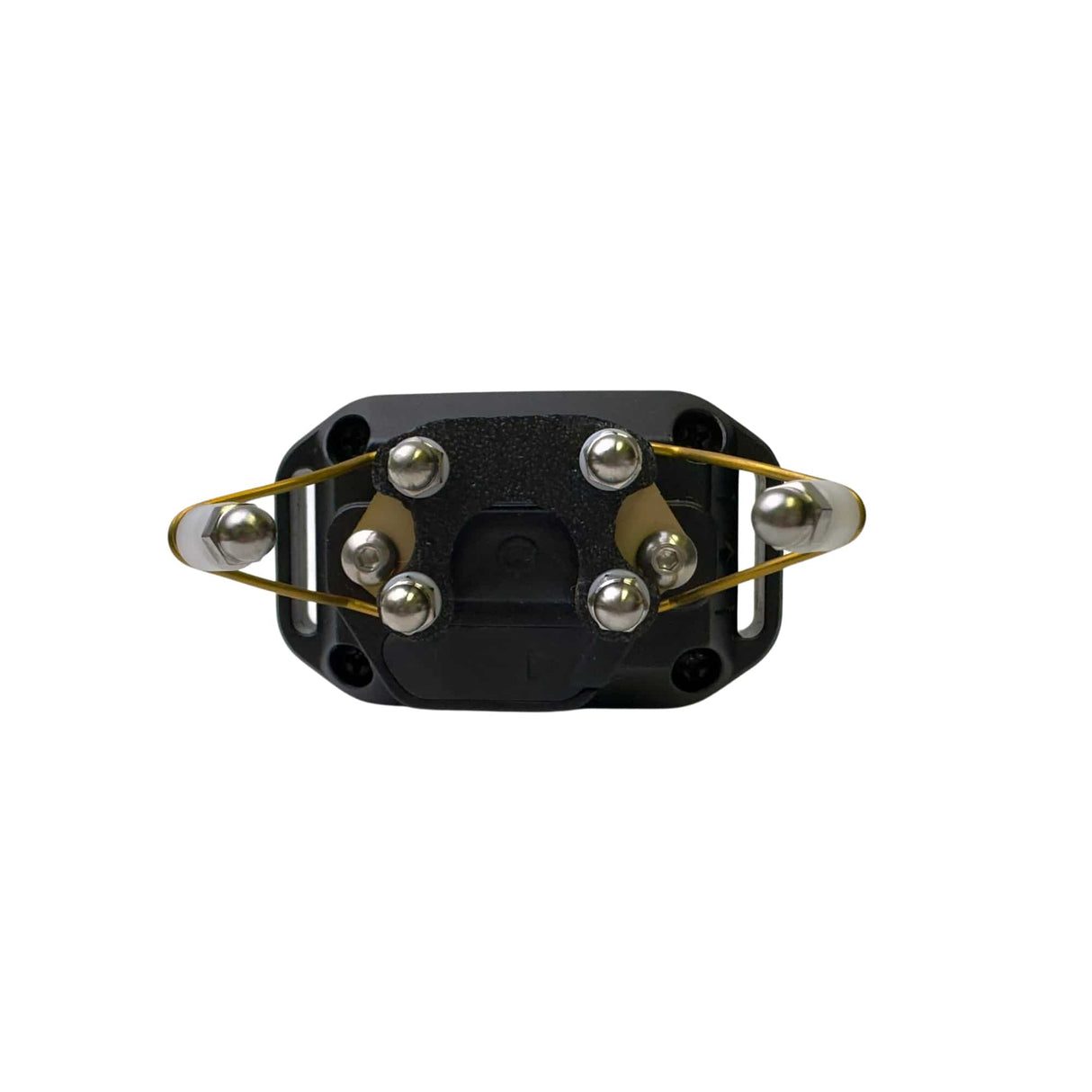 t-wing-points-electronic-collar-8