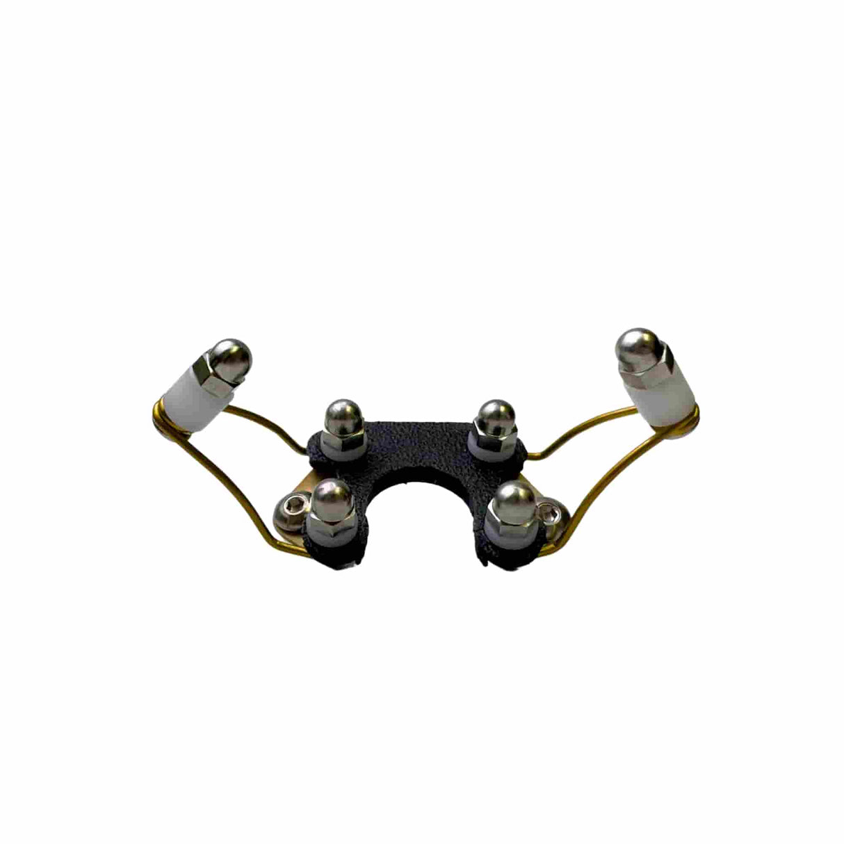 t-wing-points-electronic-collar-1