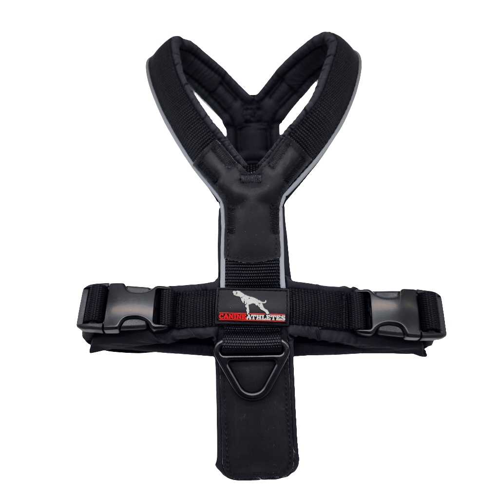 canine-athletes-sport-hd-v2-dog-harness-black-2