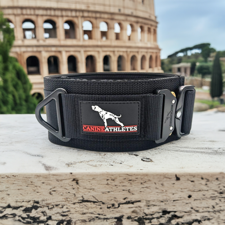 canine athletes venator wide super strong working dog collar