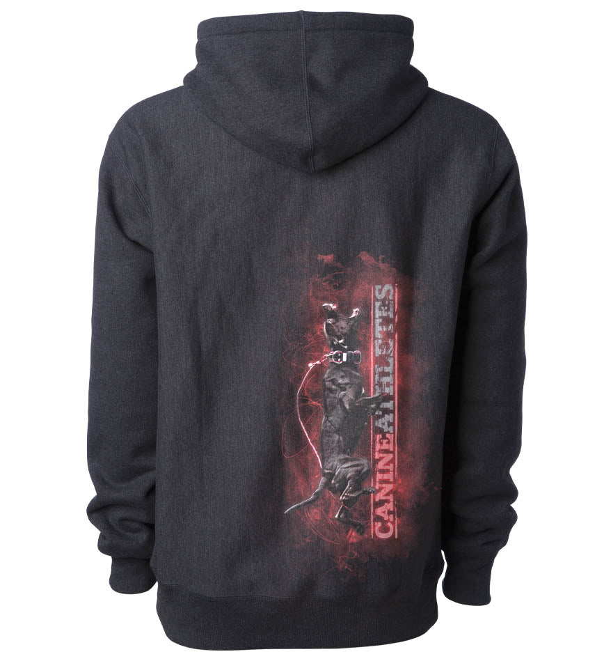 canine-athletes-bloody-sunday-hoodie-dark-heather-back