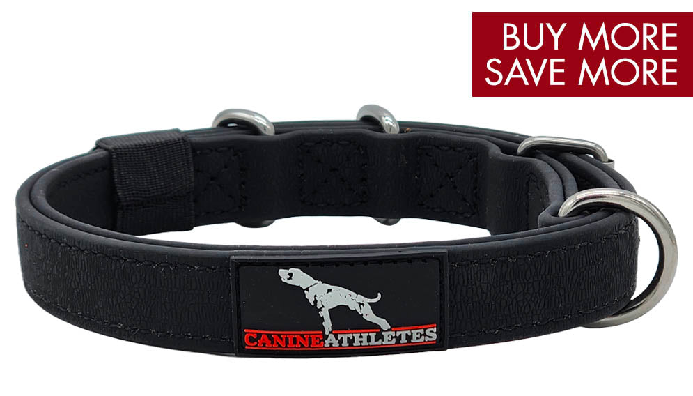 canine-athletes-1-inch-ap-sport-waterproof-working-dog-collar-feature