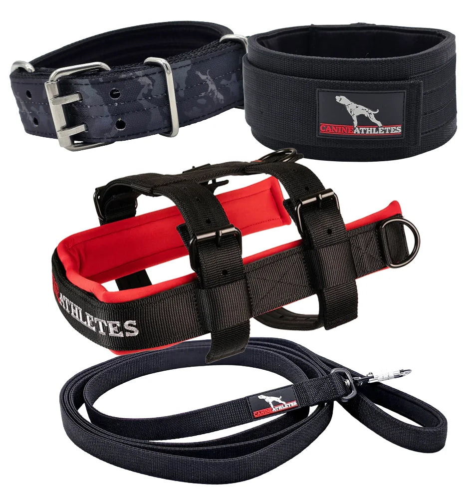 canine athletes elite hd premier competition working dog bundle black camo crimson