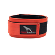 Canine Athletes Elite-HD Weighted Dog Training Exercise Collar Orange