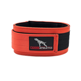 Canine Athletes Elite-HD Weighted Dog Training Exercise Collar Orange