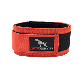 Canine Athletes Elite-HD Weighted Dog Training Exercise Collar Orange