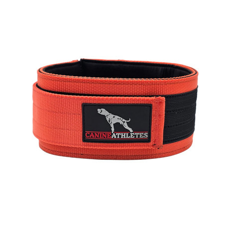 Canine Athletes Elite-HD Weighted Dog Training Exercise Collar Orange