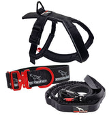 CANINE ATHLETES SPORT-HD V3 PERFORMANCE BUNDLE