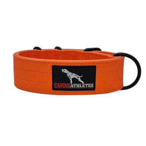 Canine Athletes AP-Sport Working Dog Collar Orange Punch