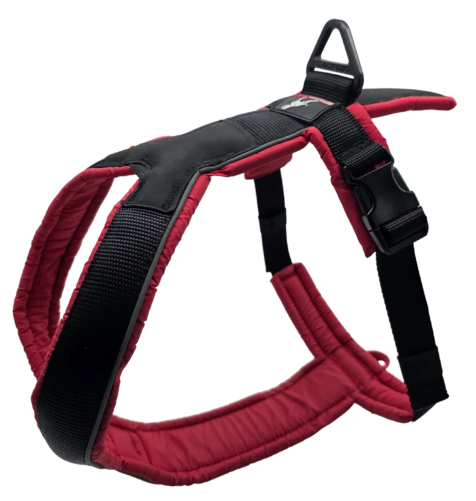 Canine Athletes Sport-HD V4 Running Exercise Harness for Dogs left view red
