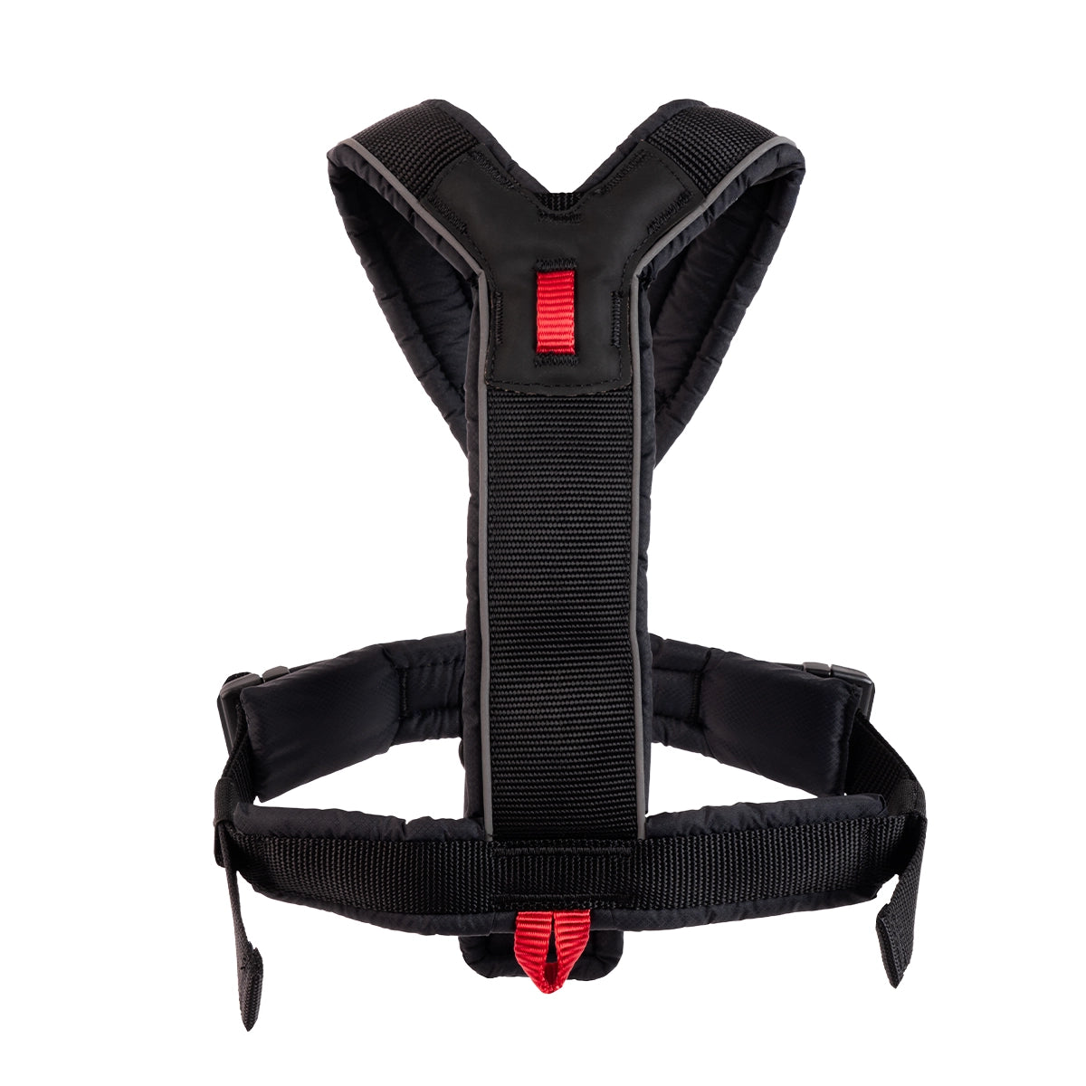 Canine Athletes padded dog harness for treadmills, running, walking and hiking.