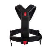 Canine Athletes padded dog harness for treadmills, running, walking and hiking.