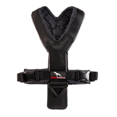 Canine Athletes padded dog harness for treadmills, running, walking and hiking.