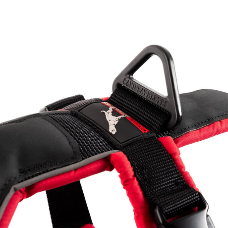 Canine Athletes Sport-HD V4 Dog Harness Closeup V-Ring Red
