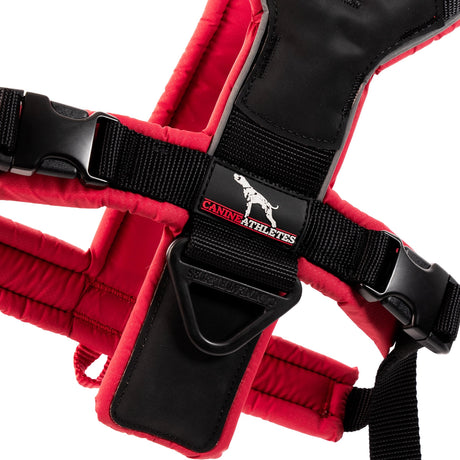 Canine Athletes Sport-HD V4 Sporting Dog Harness Closeup Above Red