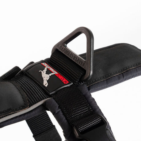 Close-up of a black padded dog harness with a black stainless V-ring.