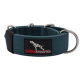 canine-athletes-ap-sport-heavy-duty-working-dog-training-collar-teal-1