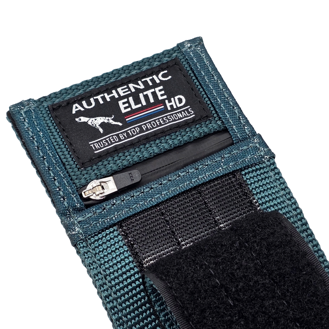 canine athletes elite hd weighted dog collar training teal closeup